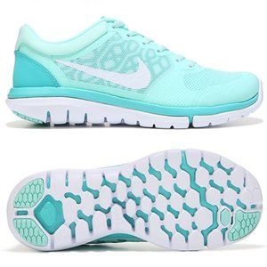 Nike Flex Artisan Teal and White 2015 RN Shoes